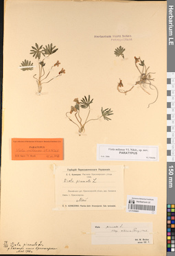 LE 01056801