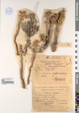 LE 01196123
