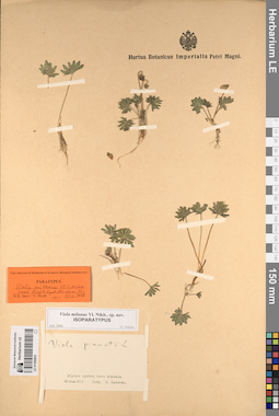 LE 01056803