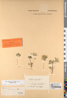 LE 01056804