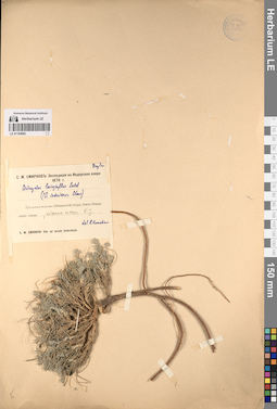 LE 01195993