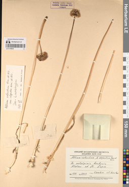 LE 01196530