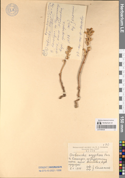 LE 01196128