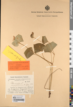 LE 01056808