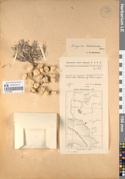 LE 01195995