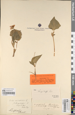 LE 01056812