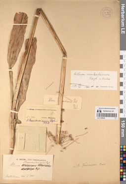 LE 01196535