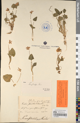 LE 01056814