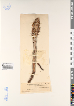 LE 01196135