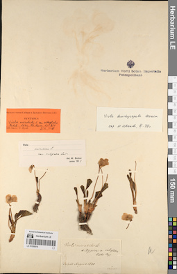 LE 01056816
