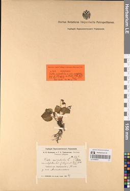 LE 01056819