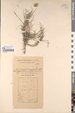 LE 01196005