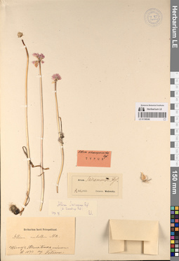 LE 01196546