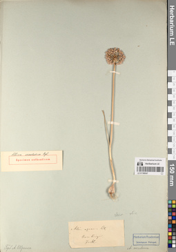 LE 01196547