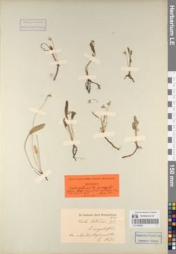 LE 01056829