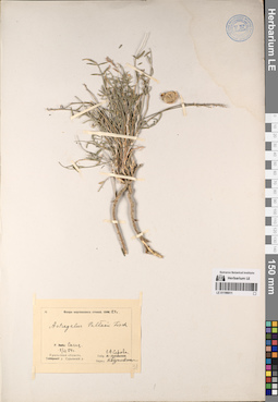 LE 01196011