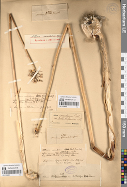 LE 01196551