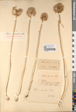 LE 01196556