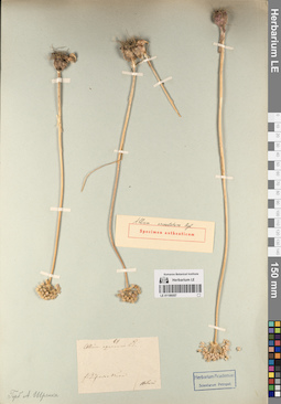 LE 01196557