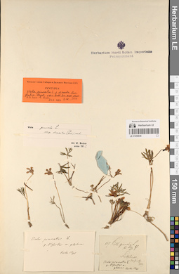 LE 01056838