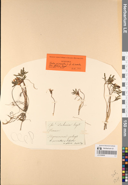 LE 01056839