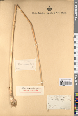 LE 01196561