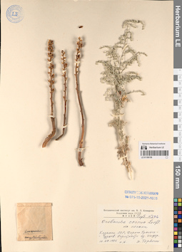 LE 01196156