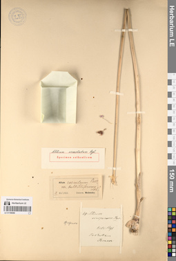LE 01196566