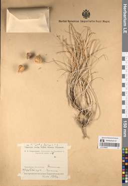 LE 01196027