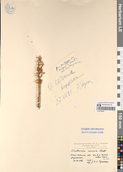 LE 01196161
