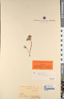 LE 01056856