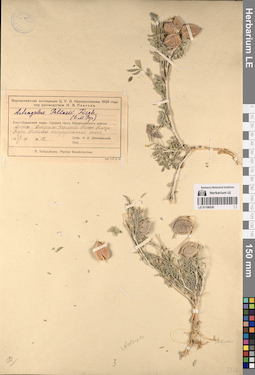 LE 01196030