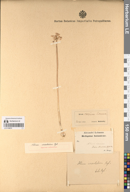 LE 01196570