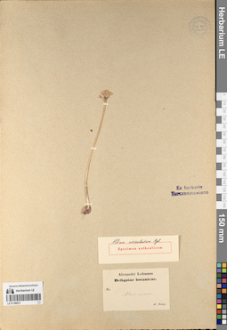LE 01196571
