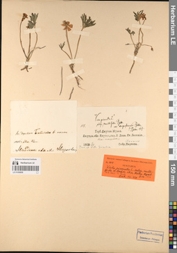 LE 01056859