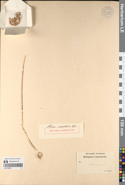 LE 01196572