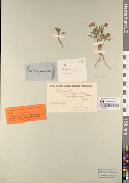 LE 01056860
