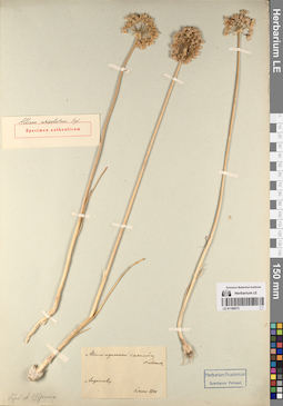 LE 01196573