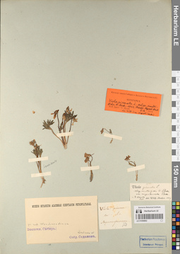 LE 01056862