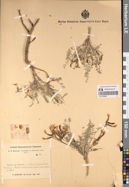 LE 01196039