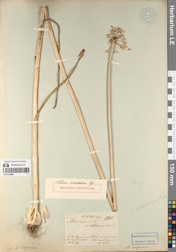 LE 01196580
