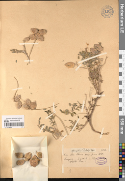 LE 01196041