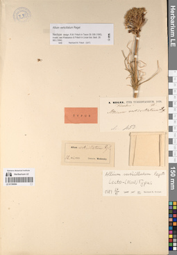 LE 01196584