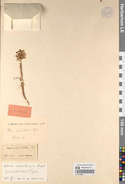 LE 01196585