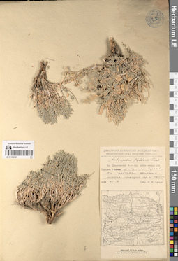 LE 01196046