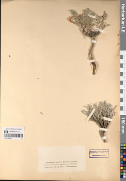 LE 01196047