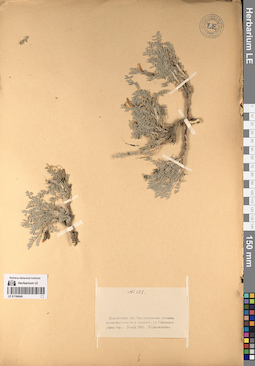 LE 01196048