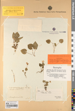 LE 01056877