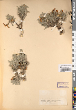 LE 01196049
