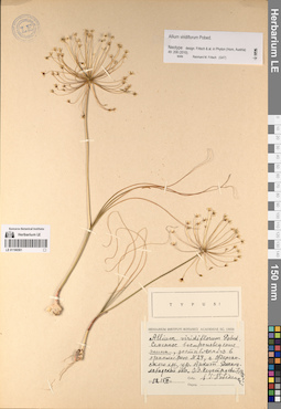 LE 01196591